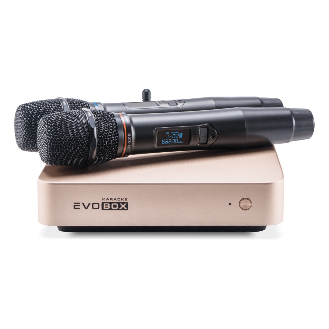 EVOBOX Plus караоке-система для дома в Омске