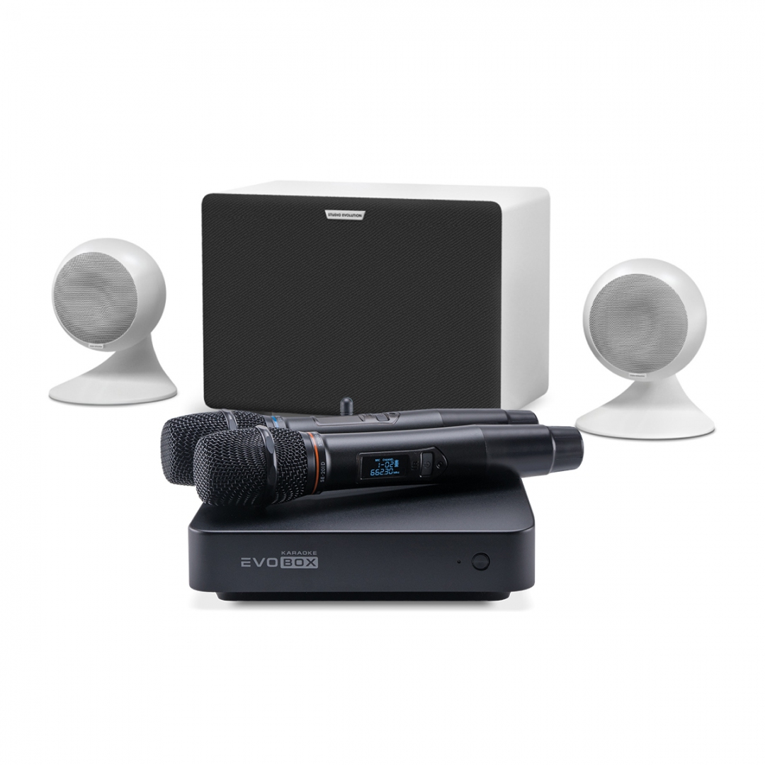караоке-комплект EVOBOX Classic + EvoSound Sphere 2.1 в Омске