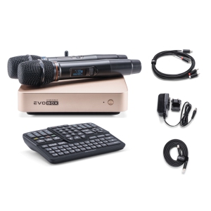 EVOBOX Classic караоке-система для дома в Омске